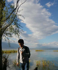 92175CMĵز۸飬ȥ20