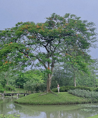 94��165CM��˫����ҽ���������飬ϣ���Է�Ŭ���Ͻ�