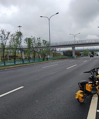 路上的共享单车,都是谁骑上去的?