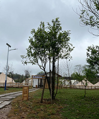 ¿ܿȥ¶Ӫأտֱϲժݮ