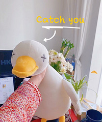 һֻ���Լ���ס������΢΢