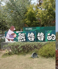 重庆五大花市打探,看哪里最好逛