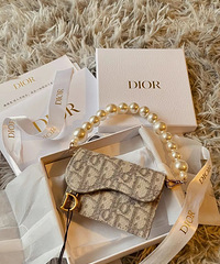 3500�Ϳ���ӵ�е�DiorС���� ��������