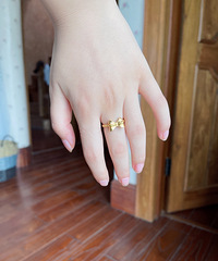 ������ּ����ÿ��Ľ�ָ