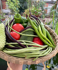 ҼݶĶͲ԰ӳ̫׳ˣȫóȥ