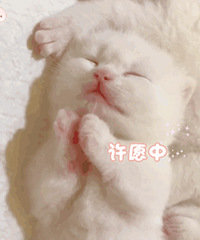 ֵ򡿻2ƿ25жױ2ƿ52