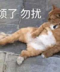 某宝能出点打工人穿的衣服吗
