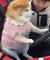 ������ֵ�����󱾵�������Һ3ƿ1��19������������4��12