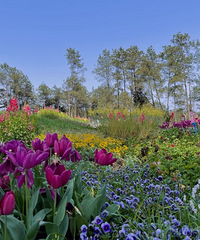 ����ͯ��С��ֵ�ö��δ򿨣����ǿ���һСʱ���Ҿ��ܵ�