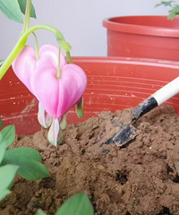 90180CMˮƿ飬ϣԷ160