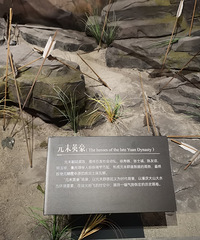 ̽ýڹĹϵչݣΨһĻ