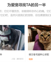 在闲鱼,有人花9999元给猫找对象….....