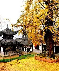 清明假期可安排,盘点重庆主城寺庙
