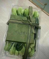 ���������Ͳ˶���ʼ�ھ�����Щ�ݳ޴��ƶ��³���