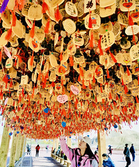 88��165CM��С������飬ϣ����һ���໥���ķ��ֵ���