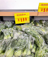 ��LL����䡿ʵ̽�����׼Һ���������˹��������˻��Ǽ���ͷ��