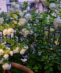 ҼҵС¶ֳ̨˻԰ľĻǰ