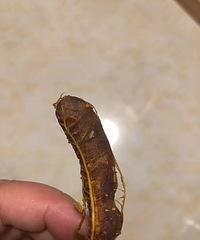 ����ʲô������ʳ������̫���ˣ�ȴ�кܶ���˵�������𳬺ó�