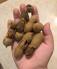 ʲôʳ̫ˣȴкܶ˵𳬺ó