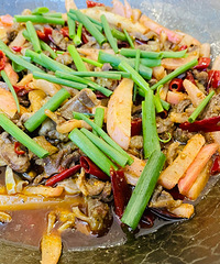 ǭ�����ӹ�Ȼ�·����˾�20�㶨����Ĺ�����