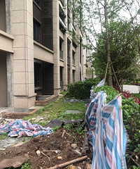 ͱ·100ƽLͻ԰С˵ء