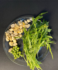 ����һ��ʳ����ʵ������ƽ��������һ���Ŀ�ʼ