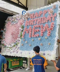 ���ֽ��ͽ�������������̫������