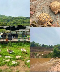 巴南区夏天耍水,遛娃不错的好地方