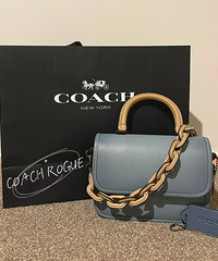 种草这只COACH鼠尾草绿,深深被链条吸引住了