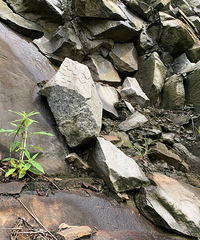 ƴ������Ŭ���õ���һ�����ж����������ջ��˸������Ķ���