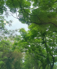 北碚的大海金刚碑快乐村庄