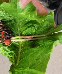 ·־ǵժӣҺõطͣ˲