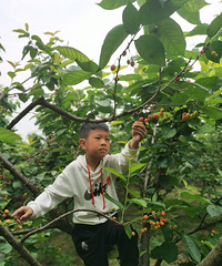 ժӣҡҰˡˣˮһβ³ˬ