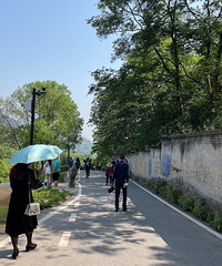 不可辜负的艳阳天,带娃享受美好春日