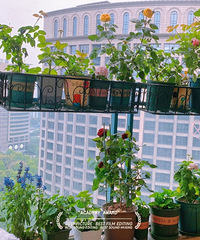 ҵ̨رƼÿʡ²ļܿ