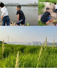 江边烧烤很安逸,有沙有水、有草坪