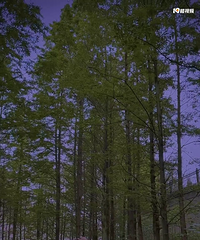 91��156CM������ҵ��С������飬ϣ���Է�����ɾ�