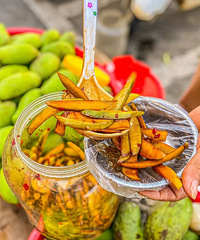 �Ҵ���û������Ե����������������ĺÿ�θŶ