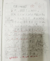 二年级娃的日记,每句都有几个拼音,正常吗?