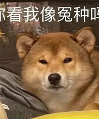 说说你们被9块9包邮骗钱的经历,有哪些东西真的难用?