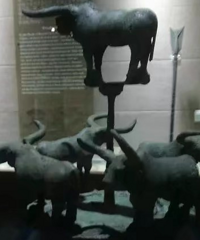 ������������Ĵ�һ��ʲô��