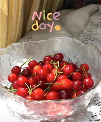 �ֵ��˳�ӣ�ҵļ��ڣ����Ƕ���ɻ�ժ�ɺö�Ǯ����