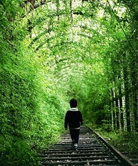 ����һ������ϵ��С��·~