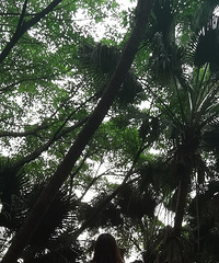 91��157CM�Ĺ������С������飬ϣ��������165����