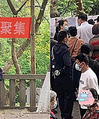 重庆新相亲角:三四十未婚的一大把