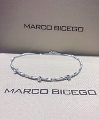 �������߶�ϵ��MarcoBicego