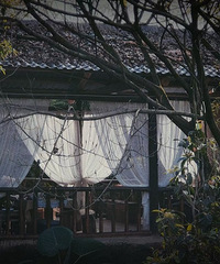 һ��Ժ�ӵ�����