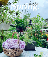 籩Ŀ飬ɼǿޱȣʵּ