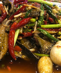 ��4������С�͹ݣ�����㵰�����ʳ������ݵð�