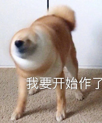 杨家坪劲浪特卖,一百来块的运动短袖上身效果绝了